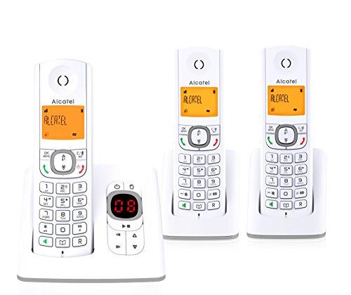 Alcatel F530 - Teléfono (Teléfono DECT, Terminal inalámbrico, Altavoz, 50 entradas, Identificador de Llamadas, Gris, Blanco)