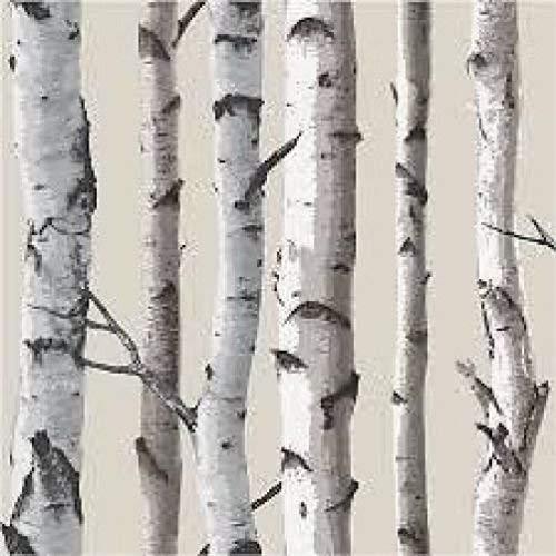 Brewster FD31051 - Birch Tree Wallpaper - Natural
