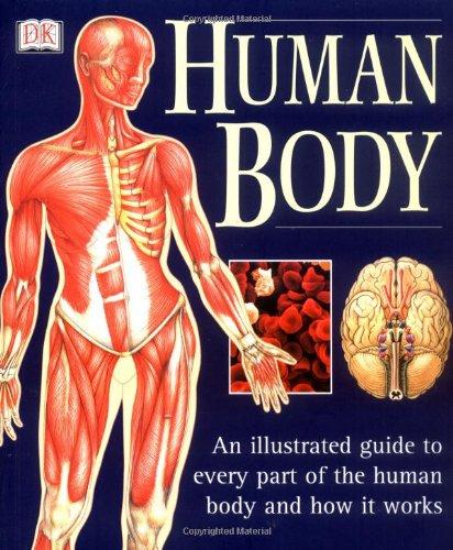 Human Body (Illustrated Guide)