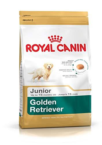 Royal Canin C-08997 S.H Golden Retriever Junior - 12 Kg